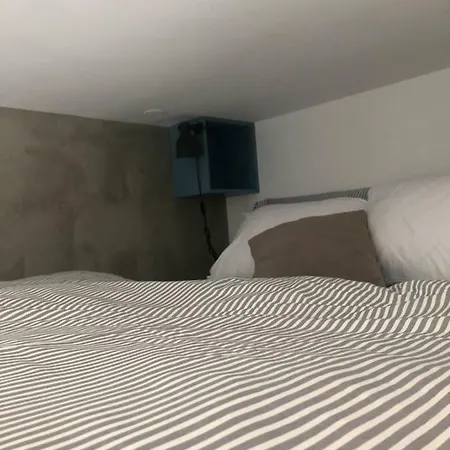 Birch On Main Square Ljubljana