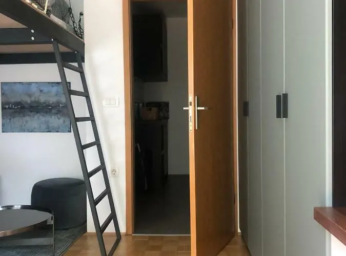 Birch On Main Square * Lublaň