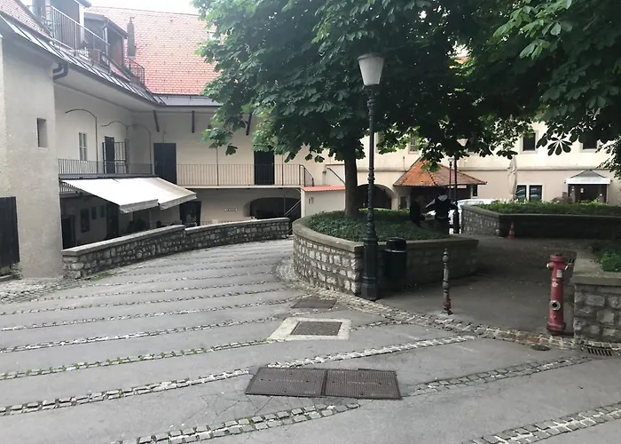 Birch On Main Square Ljubljana