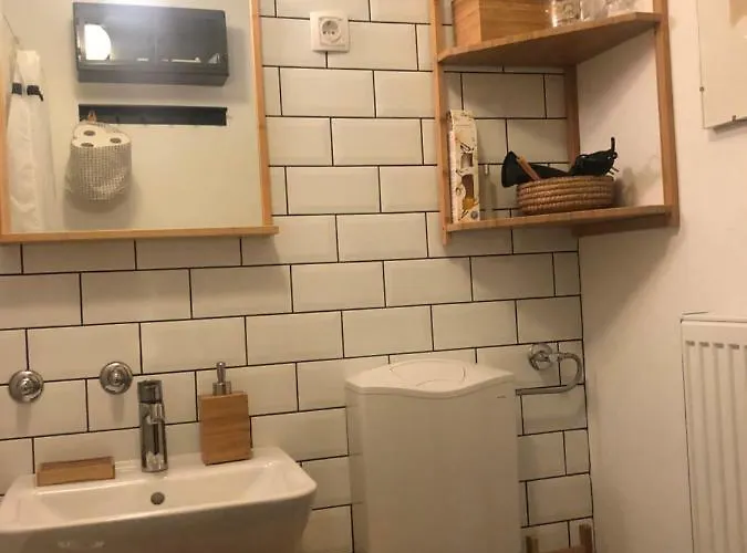 Birch On Main Square Ljubljana